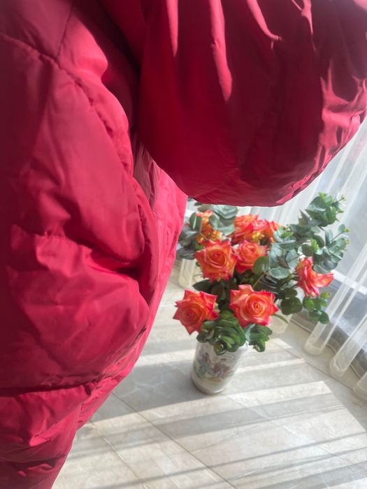 Монклер  елек ;яке