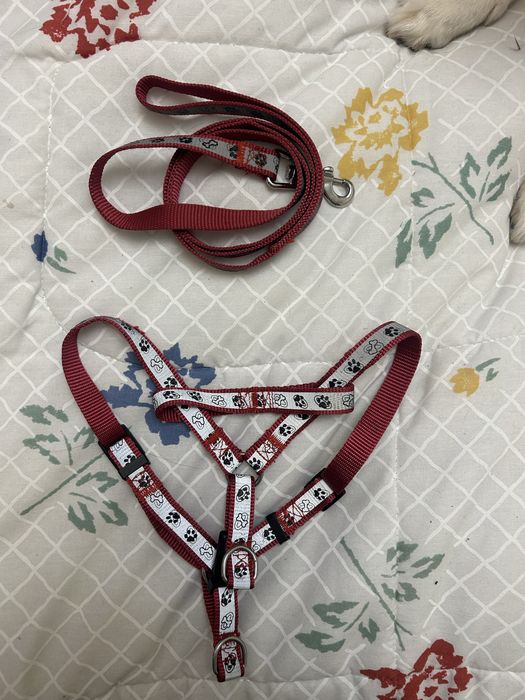 Продавам 4 нагръдника и яке