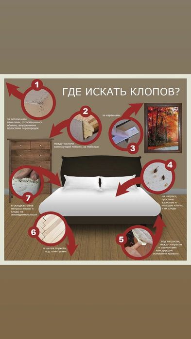 Акарицидная противоклещевая обработка