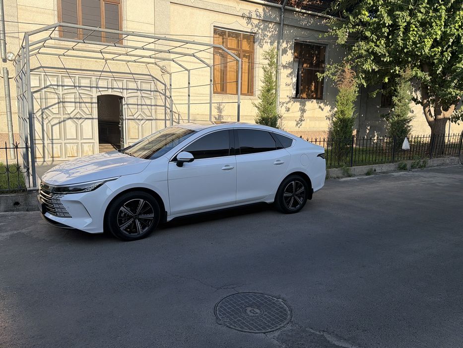 Byd chazor 4  позиция 2024