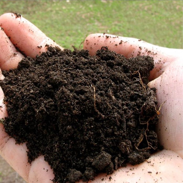 Продаю.Навоз,перегной,Черназём