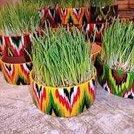 Буғдой (bug'doy) майса