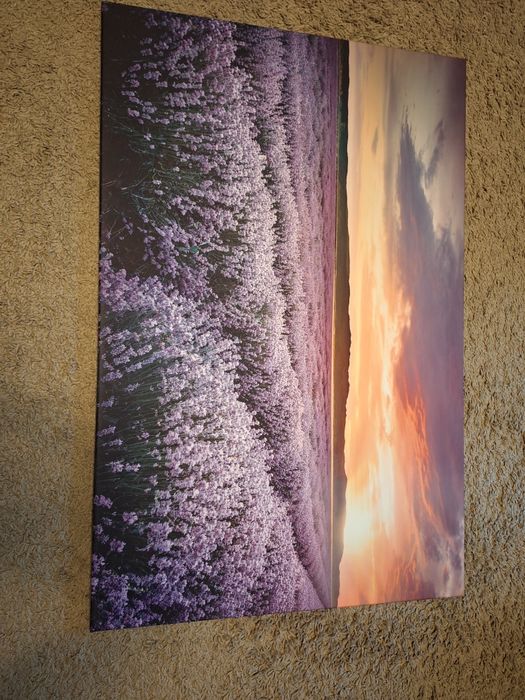 Tablou in satare foarte buna