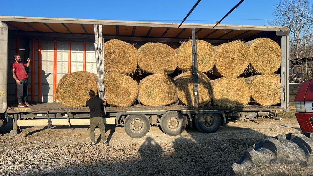 Baloti fan la TIR min 250 500 or Rotunzi 40.Lucerna sau fan>RO.Pomi