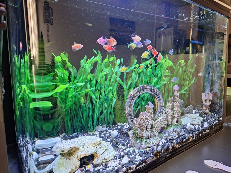 Аквариум RS 800 EF 130л.