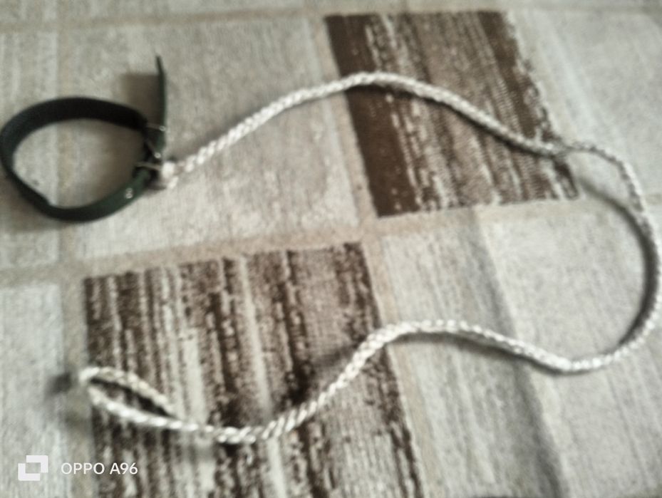 Продам два поводка