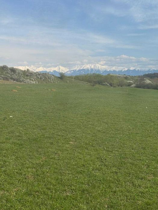 PROPRIETAR Teren langa satul Bungard