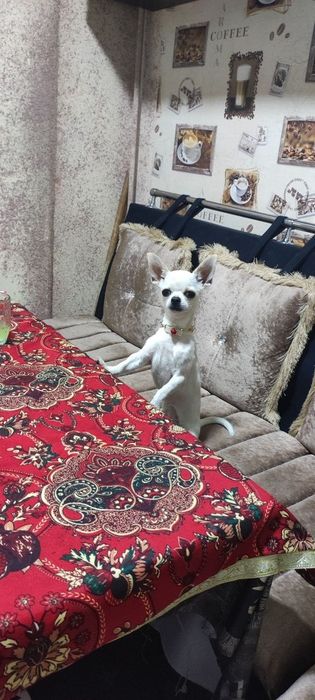 Готовимся к продаже