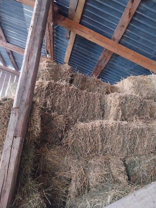 Vand baloti de lucernă si otava