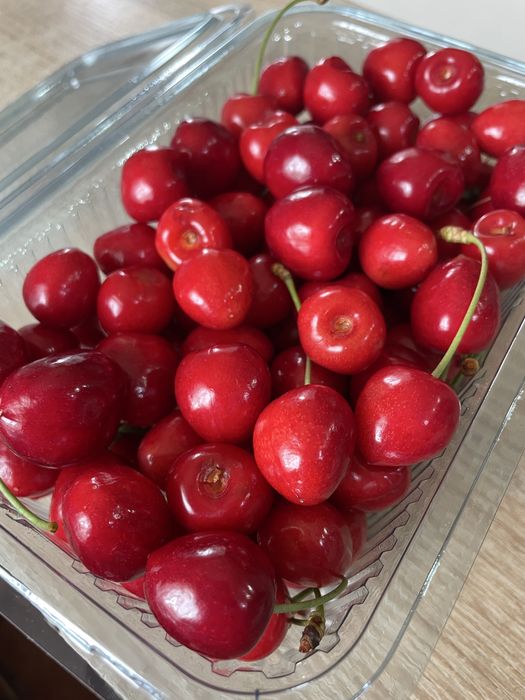 cireșe dulci de gradina