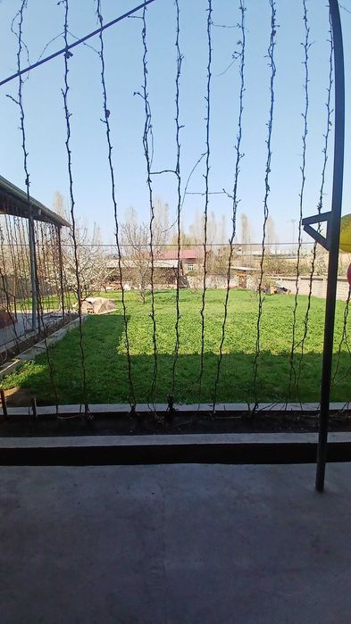 участка сотилади зангиота райони солнечный  сотиги 19000 минг дан