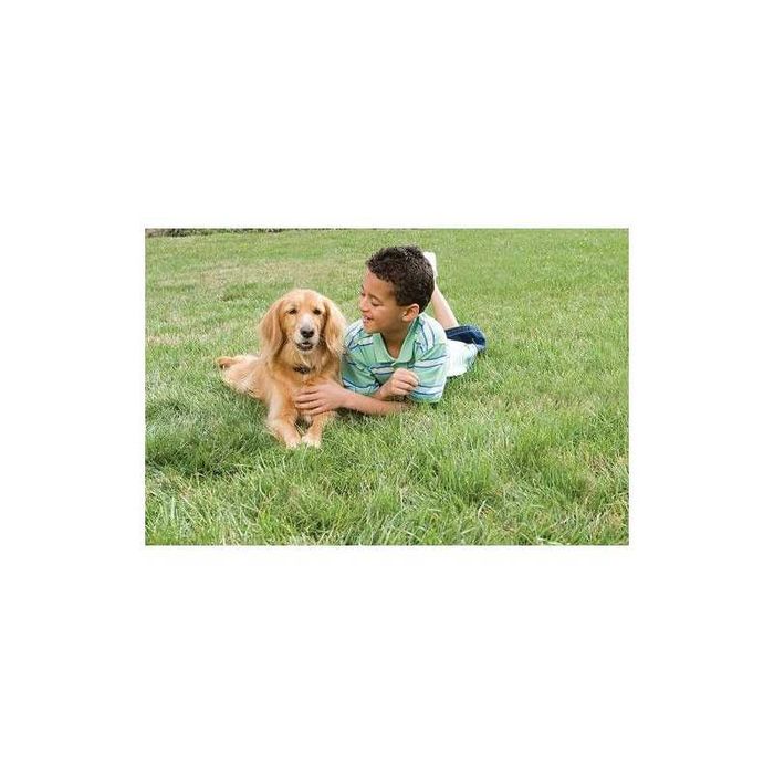 Perimetru electronic PETSAFE pentru caini