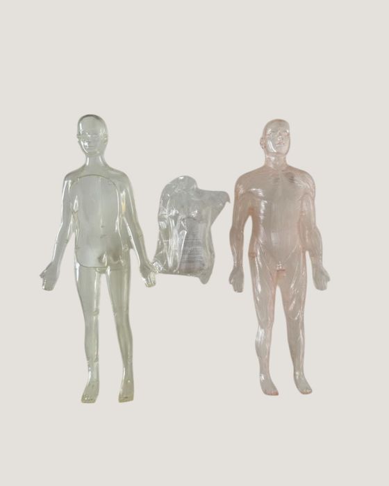 Списания “Пътешествие из човешкото тяло”