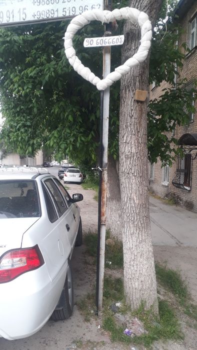 Mashala yetkazib berish xizmati mavjud