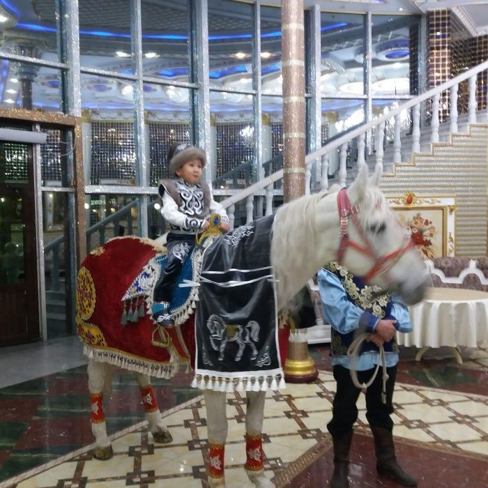 Конь. Лошадь, сопровождение