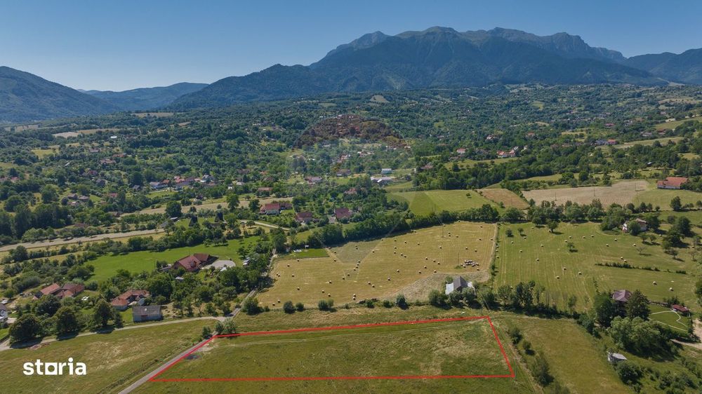 Teren Bran -Sohodol, Strada La mesteceni, 6900mp