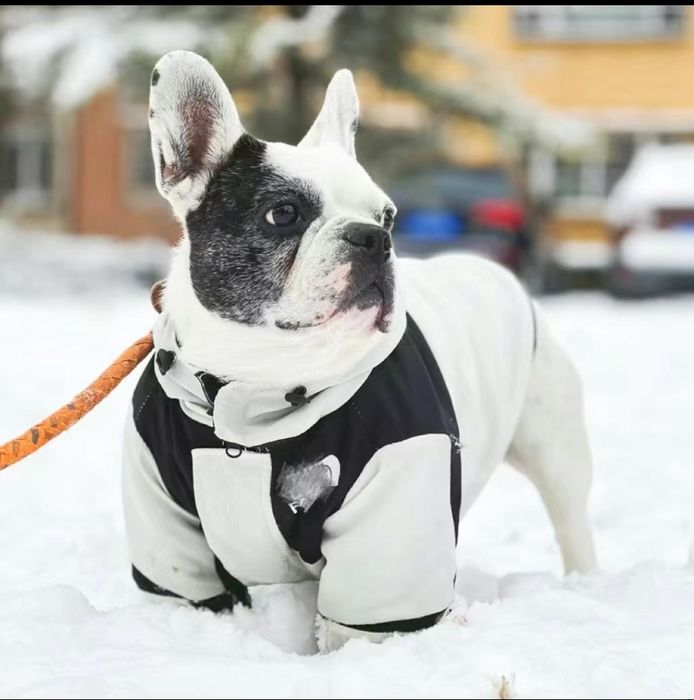 Продам куртку для собаки, размер L