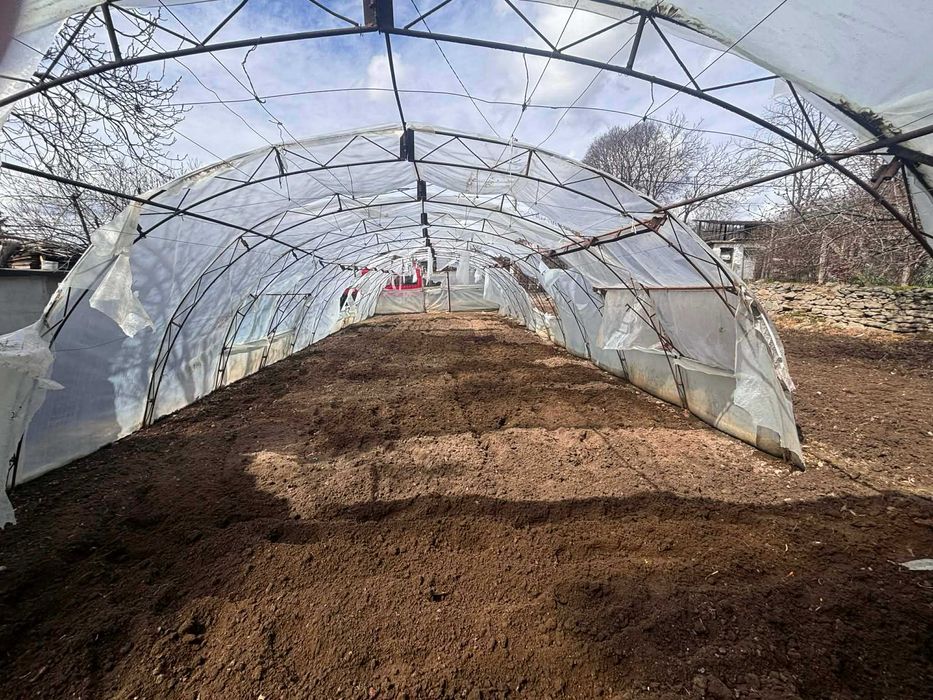 Оранжерия 25x6м метална