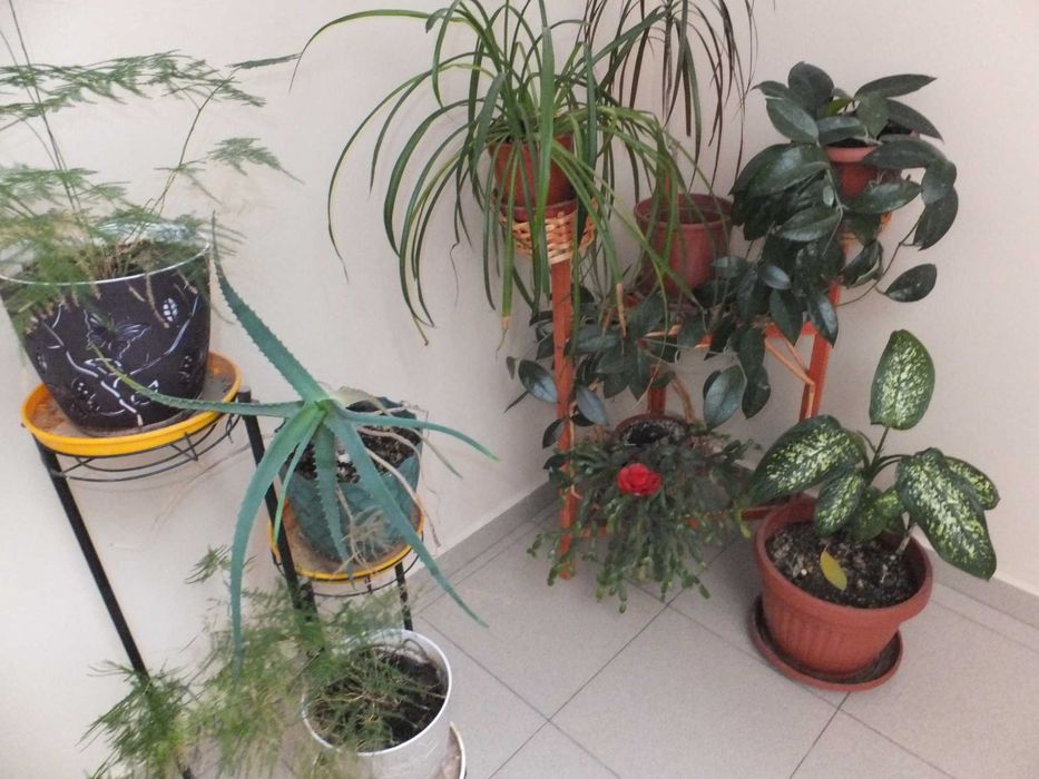 Fujifilm FinePix F770EXR 16 MPx