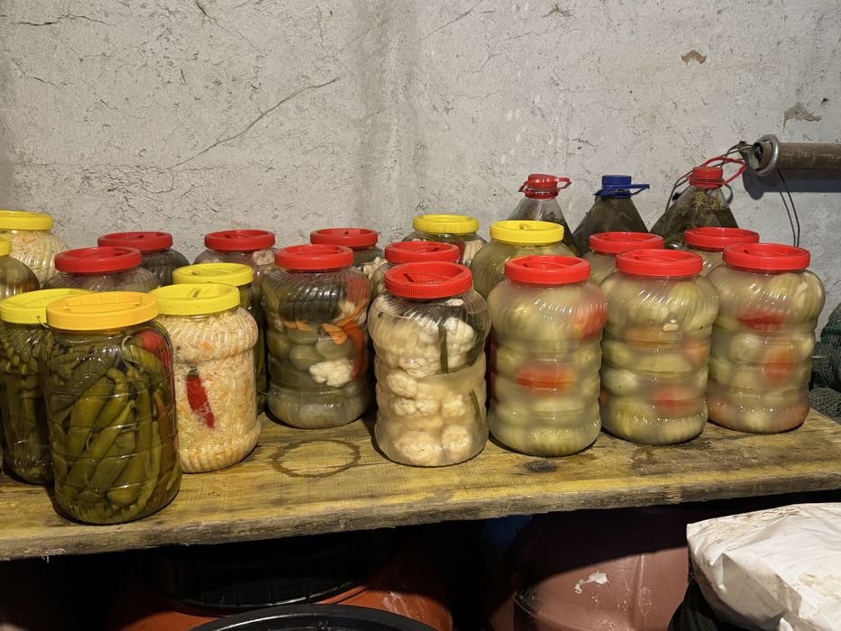 Vând varză  murată pentru sarmale și tocată ,gogonele la borcane ,vrac