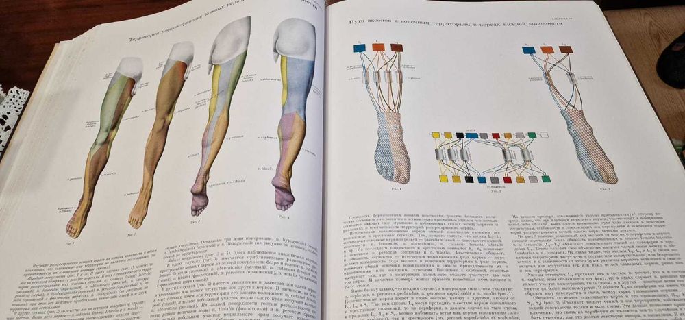 Медицински АТЛАС от 1949 г.