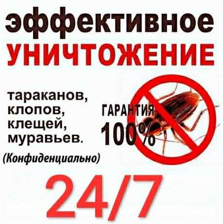 Дезинфекция Дезинсекция Dezinfeksiya Dezinseksiya (без запаха)