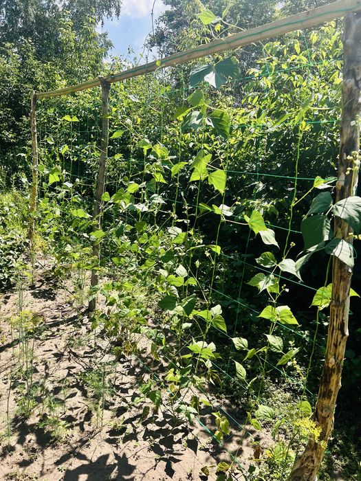 Продам дачу Здоровье
