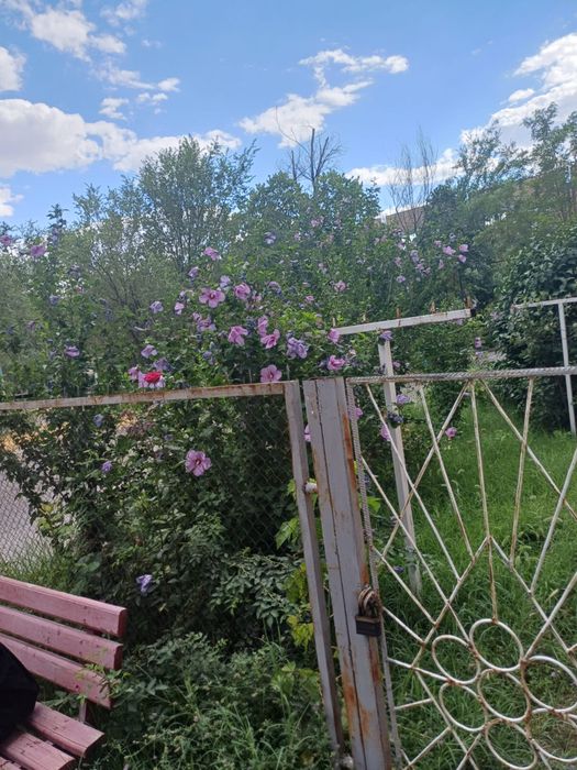 Срочно продам Кентау