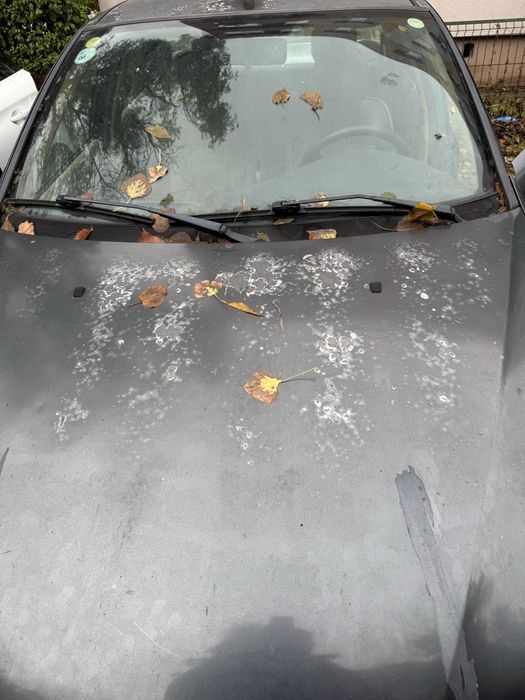 Fiat albea 2005 cititi anuntul