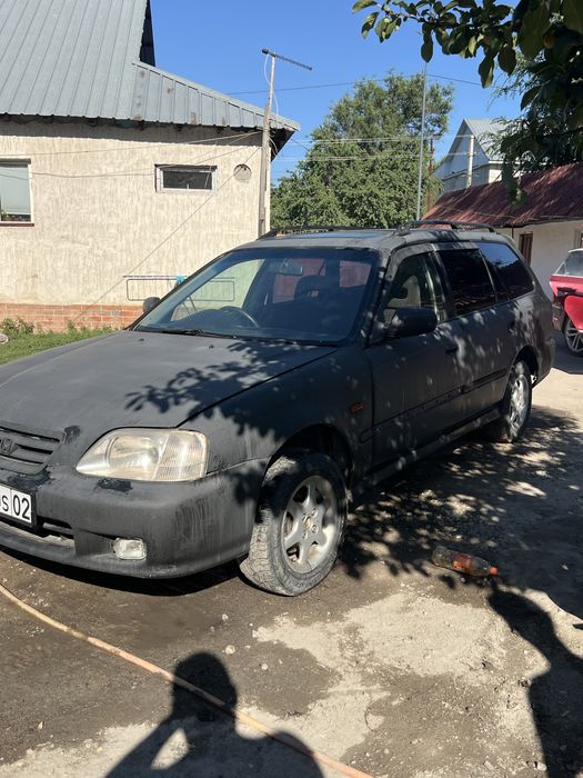 Обмен на скот сиыр жылқы
