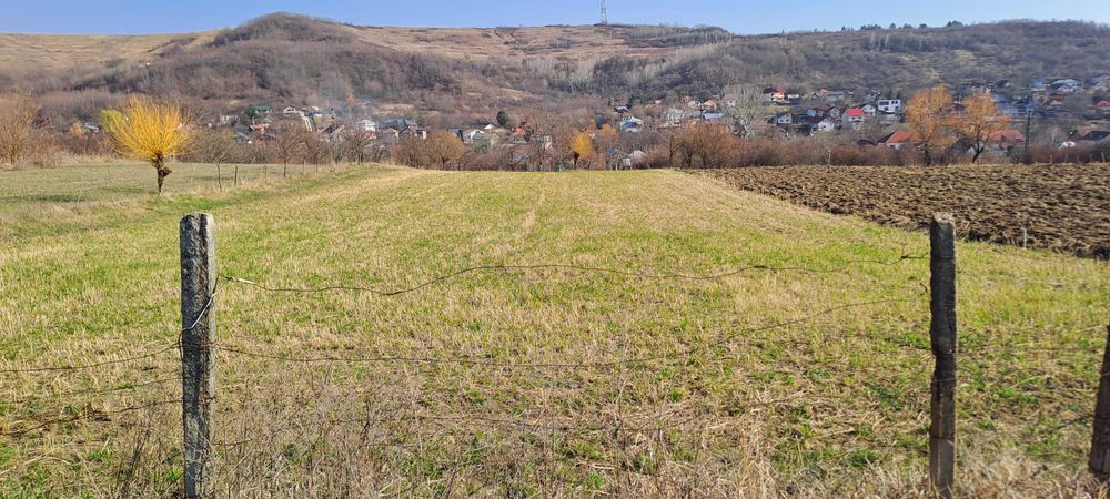 Teren Stefanesti 24€/mp