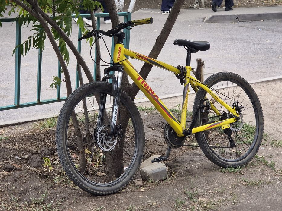 Trinx M136(m026k)