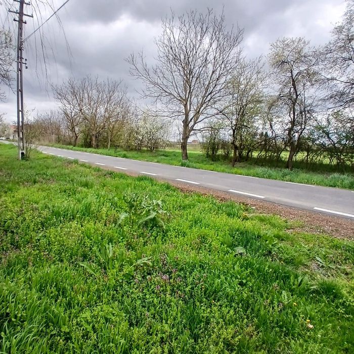 Vand 2 terenuri intravilane Hitias