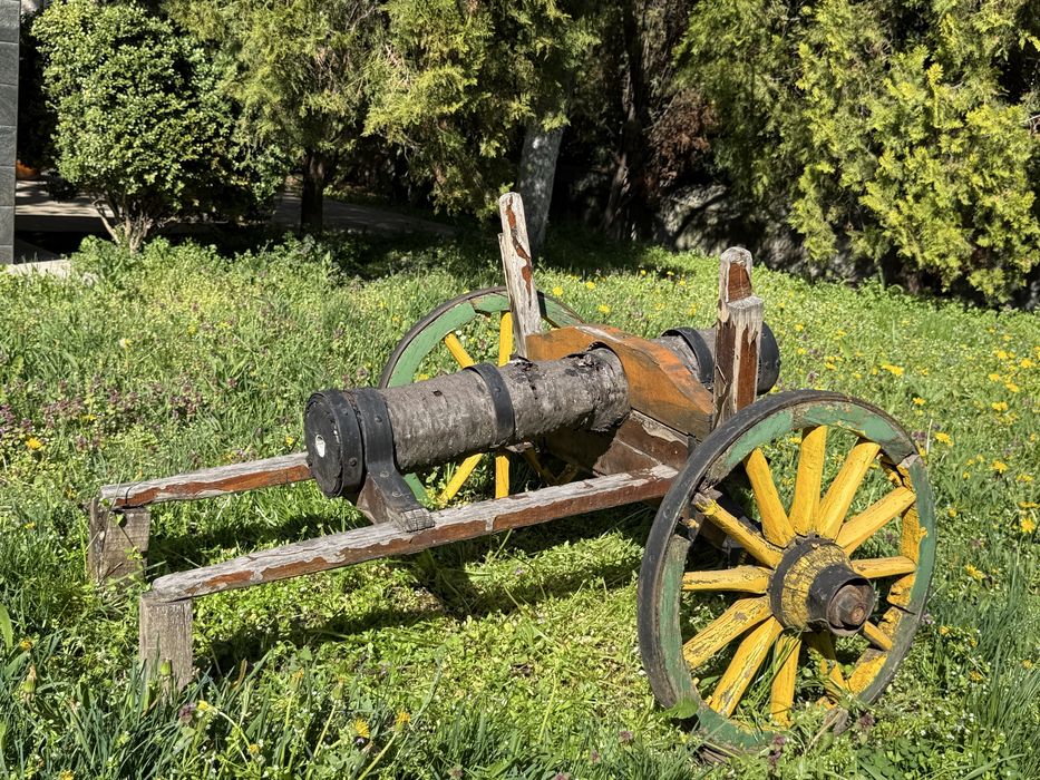 Декоративно черешово топче