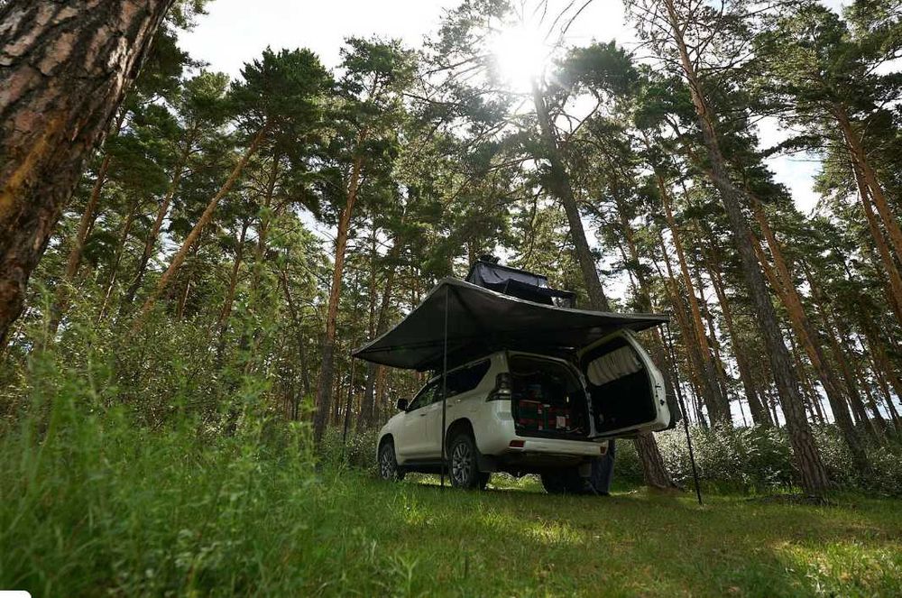 Маркиза веерная для авто