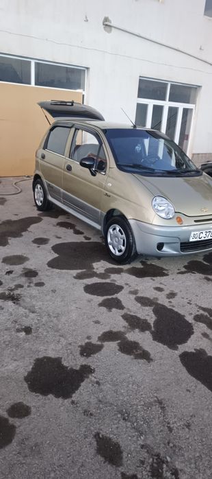 Матиз бест  звер