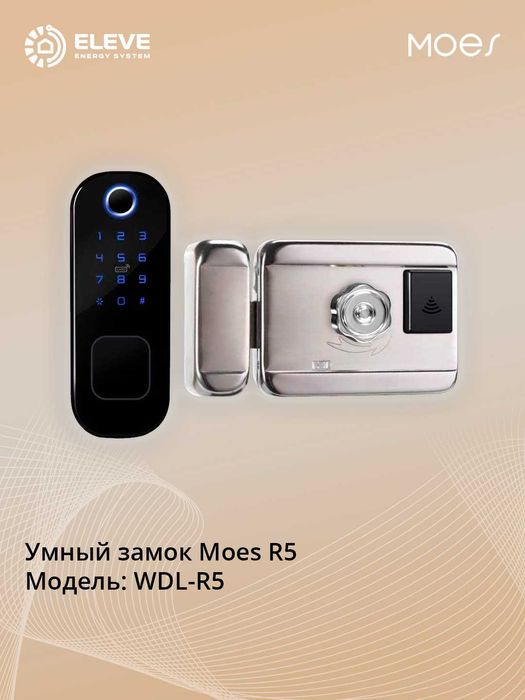 Умный замок Moes R5 | WDL-R5-2-MS