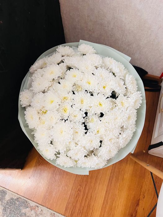 Белые хризонтемы