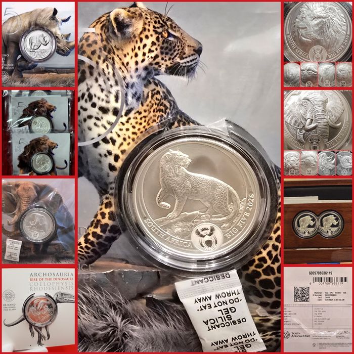Africa de Sud Big 5 Five I, II si III monede lingou argint pur 999