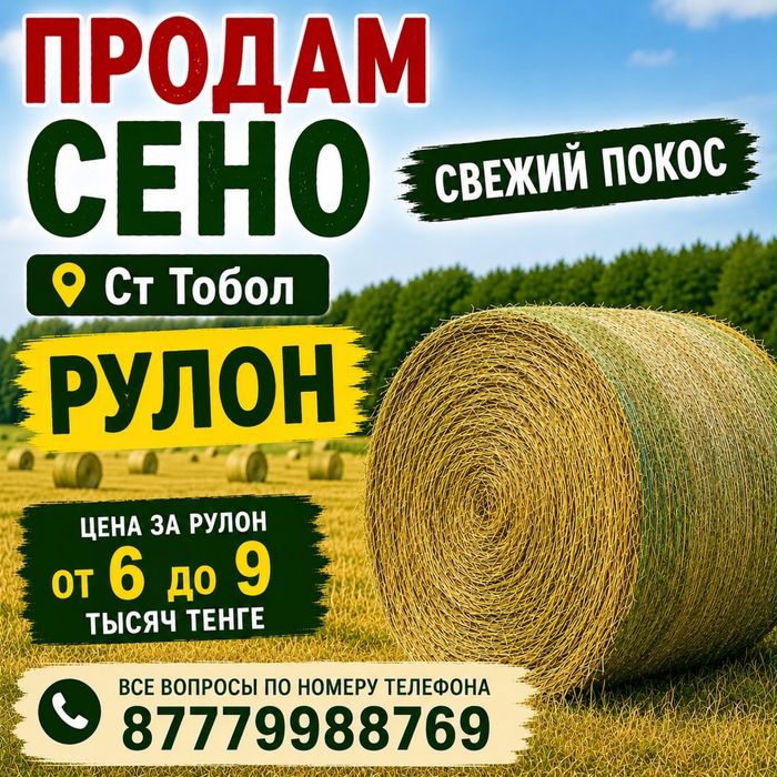 Продам сено в рулон