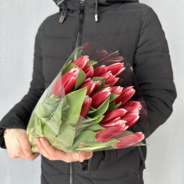 Тюльпаны Кокшетау