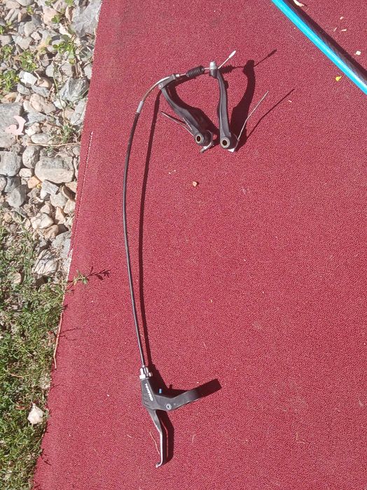 Maneta trekto si saboti