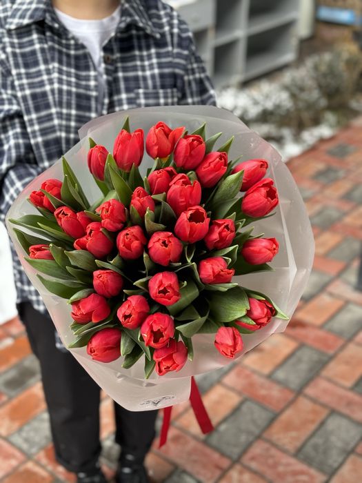 Тюльпаны ОПТОМ по выгодной цене!