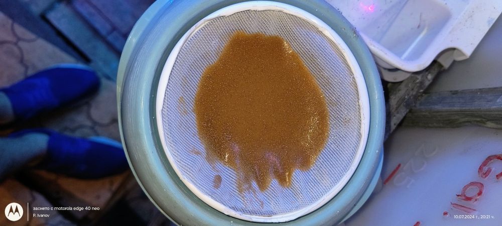 Артемия за люпене