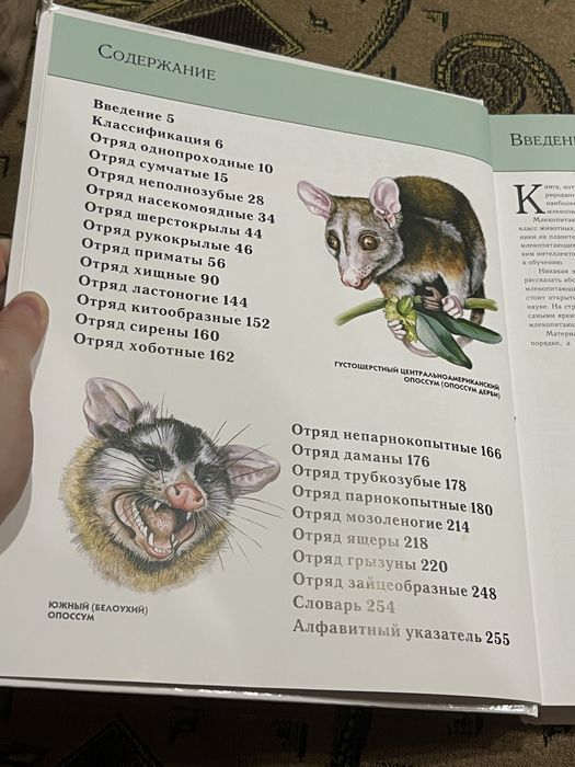 Энциклопедия о животных