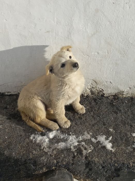 Девочка три месяца