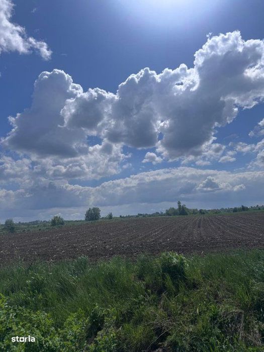 Teren extravilan, 7800mp, Burla