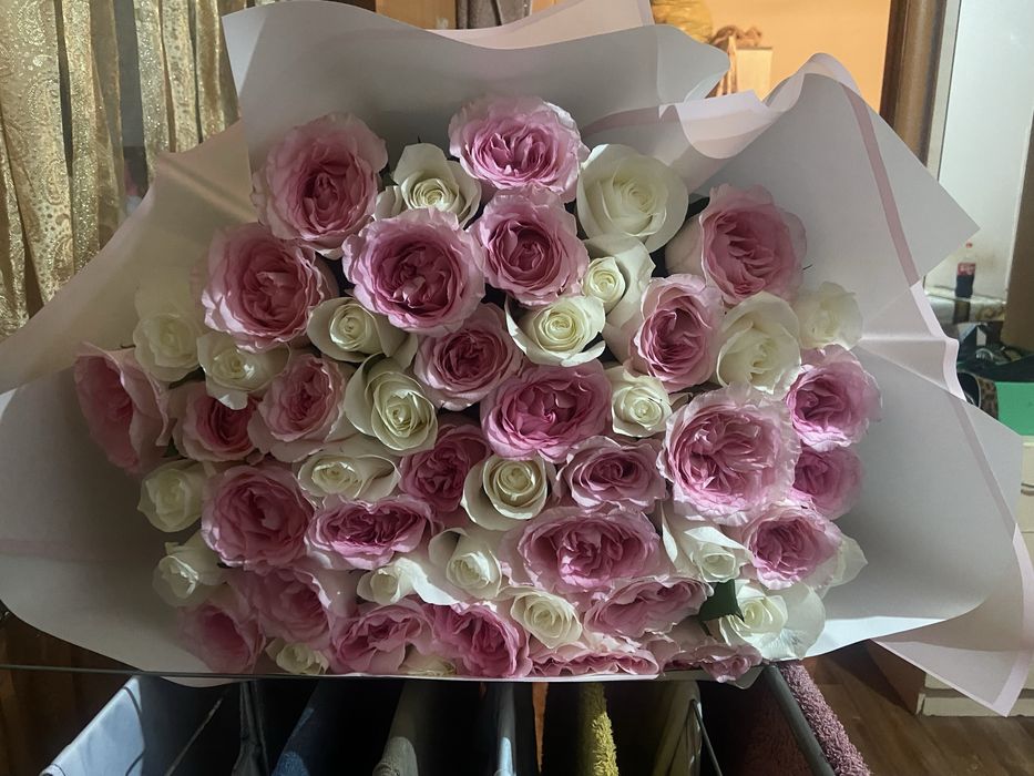 Цветы роза 51 штук