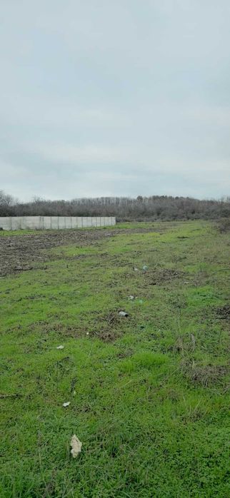 Teren Intravilan Pelendava