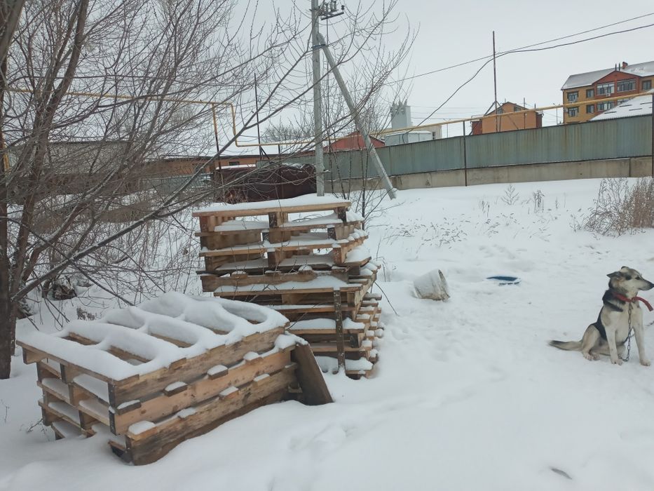 Продаётся поддоны